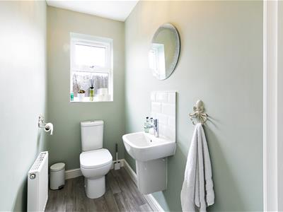 Picture 19